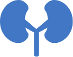 isi-icon-kidney