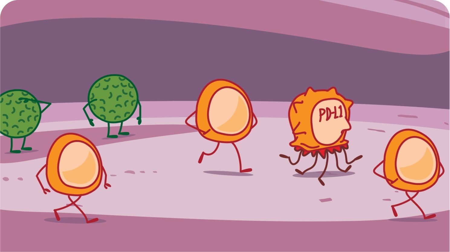 Role of PD-L1 Illustration