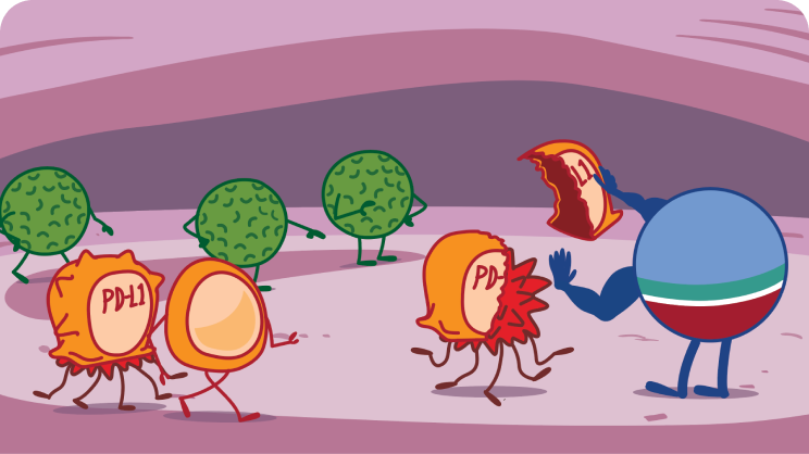 Role of IMFINZI on PD-L1 Illustration