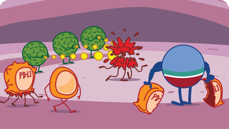 Role of IMFINZI on Healthy Cells Illustration