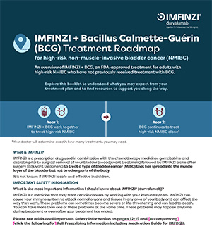 Treatment Roadmap thumbnail