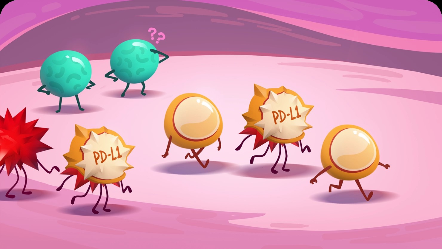 Role of PD-L1 Illustration