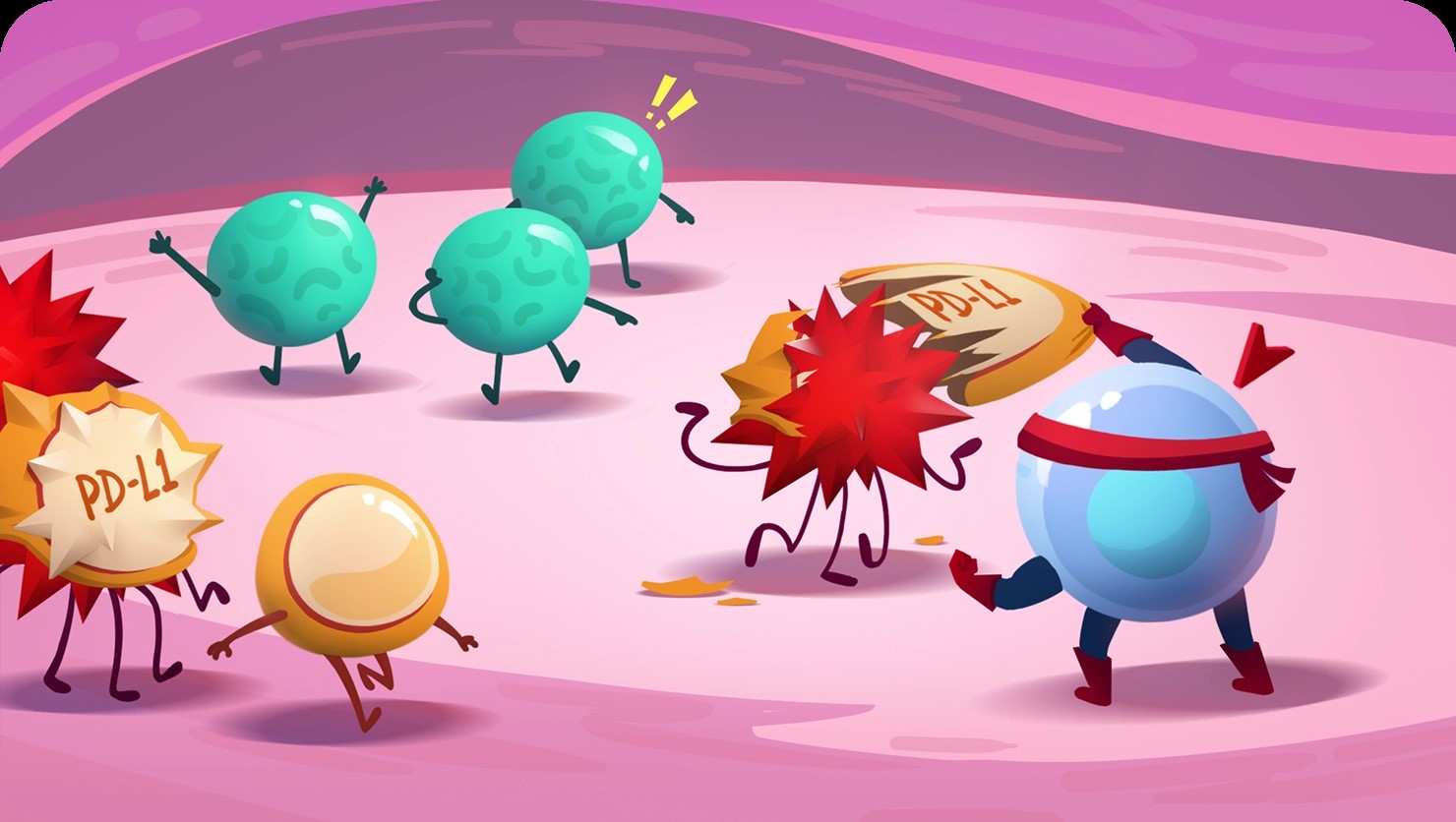 Role of IMFINZI on PD-L1 Illustration