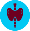 BTC Hormone Gland Icon
