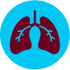 BTC Lung Icon