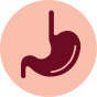 Stomach Or Esophagus Junction Icon
