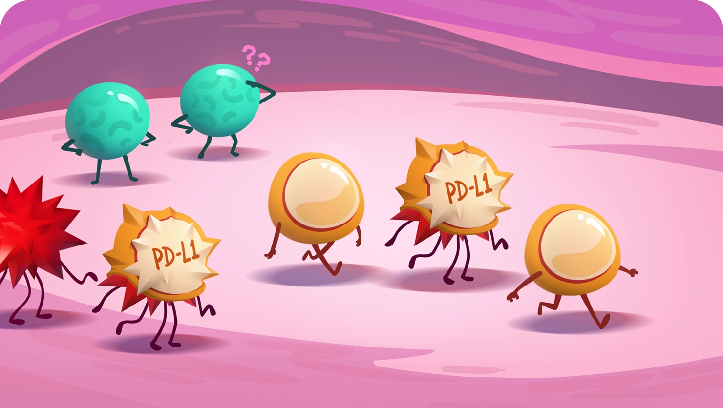 PD-L1’s Role Illustration