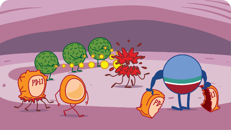How IMFINZI Works Illustration